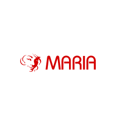 Logo Maria Bingo